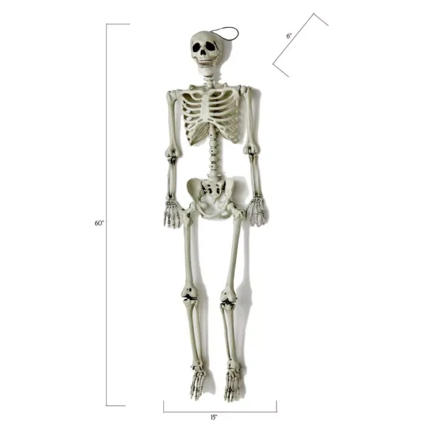 Worth Imports 60 in. Halloween Life Size Hanging Skeleton – PAX Depot